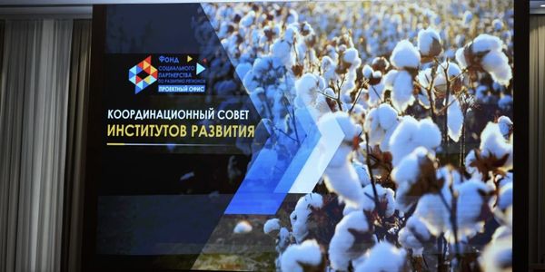 Кабмин КР обсудил проблемы хлопковой отрасли и строительство новой фабрики изображение публикации