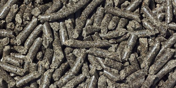 В Казахстан вернули 48 тонн подсолнечного шрота из-за отсутствия фитосертификата изображение публикации