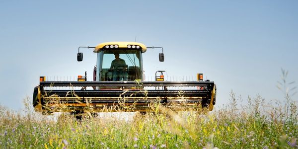 Сколько кооперативов действуют в КР, рассказали в Минсельхозе изображение публикации