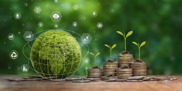 В КР утвердили программу развития зеленой экономики на 2025–2029 годы с бюджетом в 23 млрд сомов изображение публикации