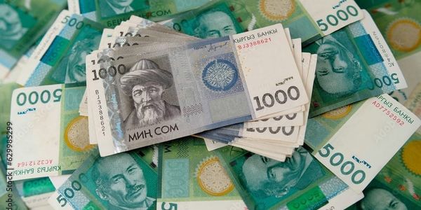 ФСХ-13: Аграриям выдали 6.5 тысячи льготных кредитов на 4 млрд сомов изображение публикации