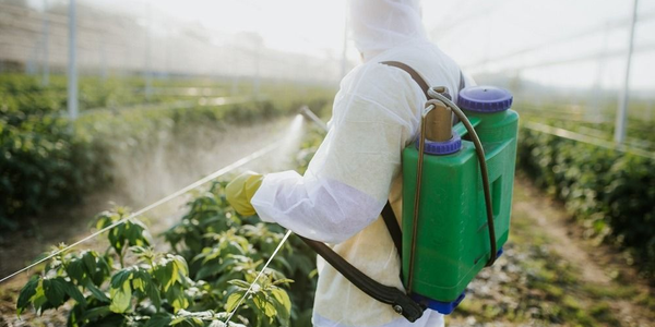 Пестициды под контролем: кабмин КР ввел новую систему оценки рисков изображение публикации