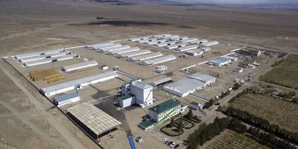 Когда границы закрыли — открылась точка продовольственной опоры изображение публикации