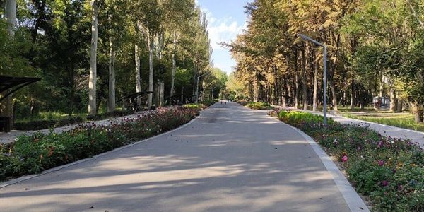 Мэрия планирует расширить зеленый фонд Бишкека до 3.5 тысячи га к 2050 году изображение публикации