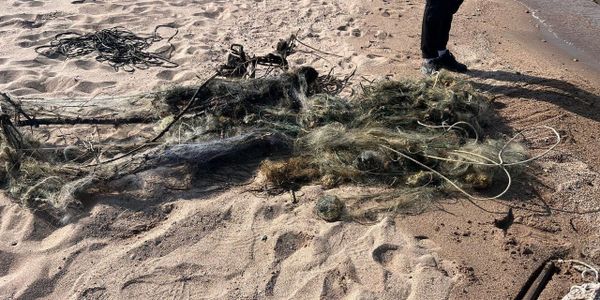 Экотехнадзор пресек незаконный лов на Иссык-Куле — изъято 500 метров сетей изображение публикации