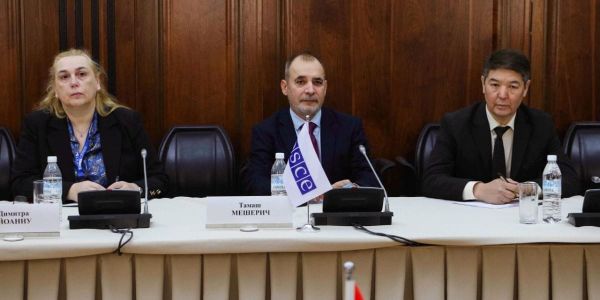 ОБСЕ планирует направить 330 наблюдателей на выборы в ЖК изображение публикации