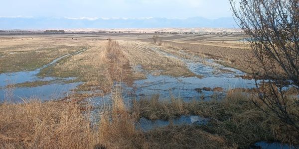 Влагозарядковый полив по Кыргызстане выполнен на 95% – Минсельхоз изображение публикации