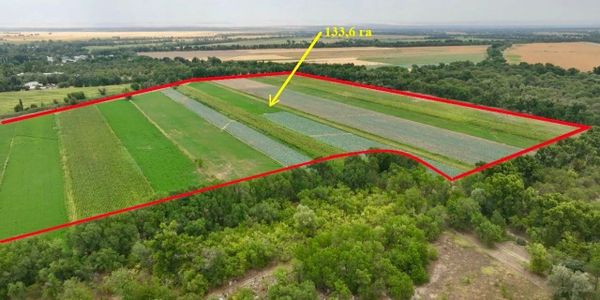 Сельхозземли в Сокулукском районе, возвращенные государству. Фото: ГКНБ.