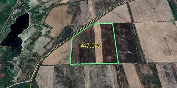 Государству вернули 278 га сельхозземель в Панфиловском районе Чуйской области. Фото: ГКНБ.