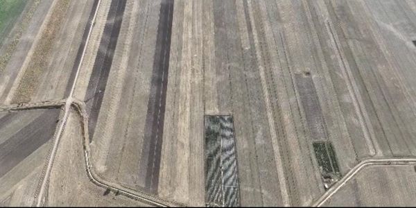 Более 2 тысяч га сельхозземель незаконно использовали в Тюпском районе изображение публикации