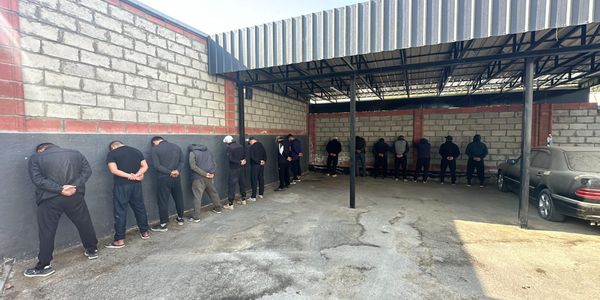 ГКНБ выявил 31 человека, причастного к контрабанде скота в Таджикистан изображение публикации