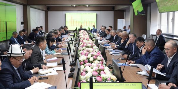 Служба ветеринарии отчиталась о 102% выполнении плана за 9 месяцев изображение публикации