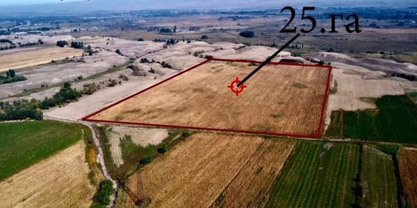 Государству возвращены 226 га сельхозземель в Чуйской области изображение публикации