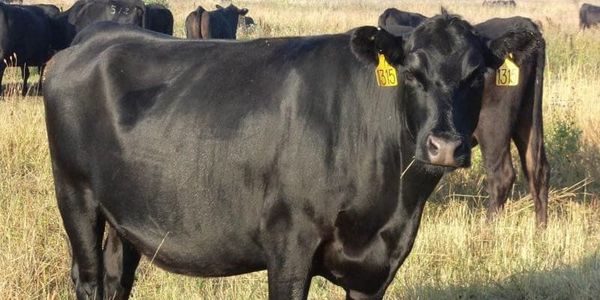 Для развития сельского хозяйства фермерам выдают льготные кредиты под 3% годовых изображение публикации