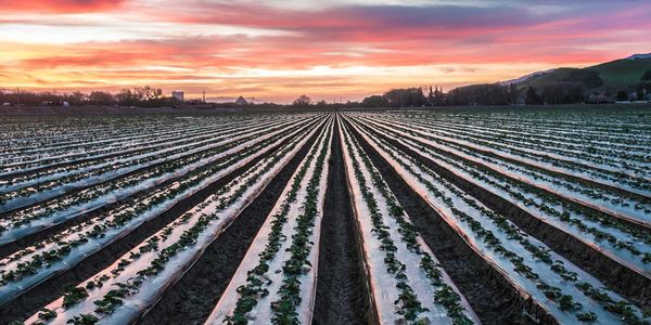 Осенний влагозарядковый полив охватил 87 тысяч га из 220 — Минсельхоз изображение публикации