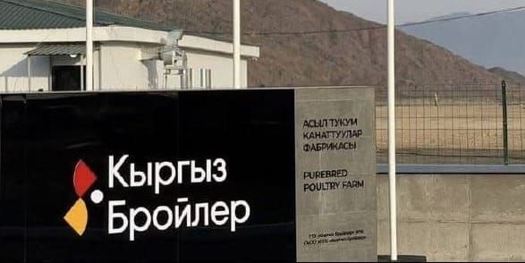 Новый комплекс «Кыргыз бройлер» обеспечит выпуск 21 млн инкубационных яиц в год изображение публикации