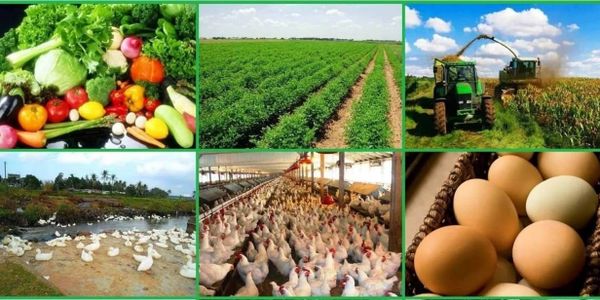 В Бишкеке пройдет Венгерско-Кыргызский форум пищевой промышленности изображение публикации