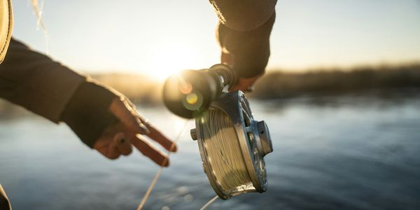 В Кыргызстане на три года запретили вылов рыбы в семи водохранилищах изображение публикации