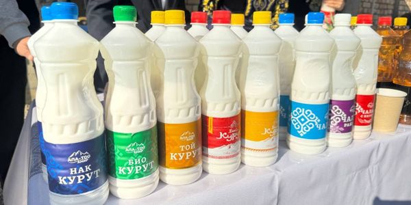 «Ала-Тоо Амир» перерабатывает 3 тысячи тонн молока в год — в планах запуск нового завода изображение публикации