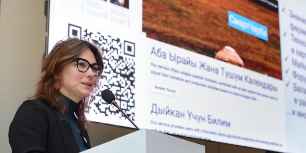 International experts trained Kyrgyz banks in ESG tools.