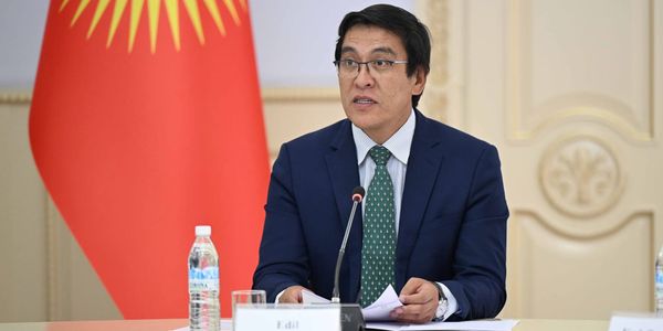 «Готов прикусить язык»: Байсалов призвал снизить градус критики ради экономического роста изображение публикации