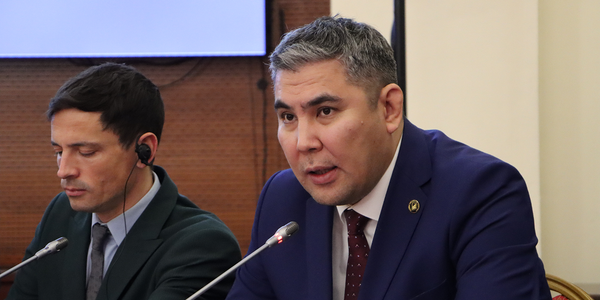 В Минэкономики обсудили развитие высокогорных и приграничных регионов до 2030 года изображение публикации