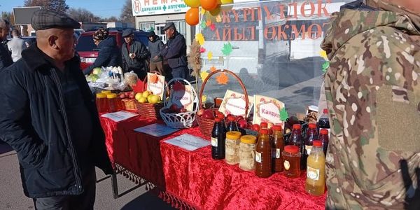 В Бишкеке стартовала ярмарка сельхозпродукции изображение публикации