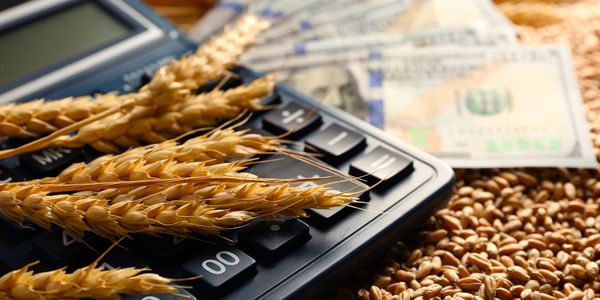 Товаропроизводителям КР выдали льготные кредиты на 89.2 млн сомов изображение публикации