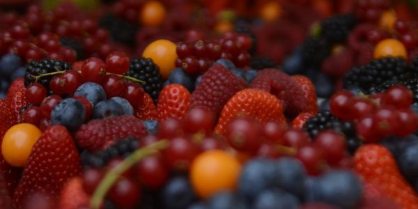 Ягодное эмбарго: кабмин КР предлагает временно запретить ввоз ряда плодово-ягодных саженцев изображение публикации