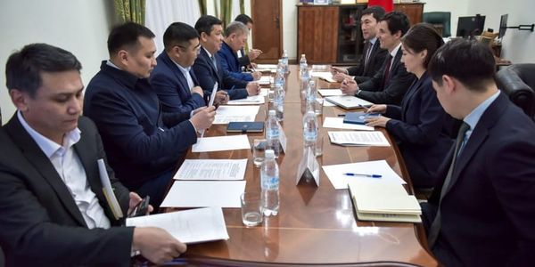 Мэрия Бишкека планирует высадить 50 тысяч саженцев в 2026 году изображение публикации