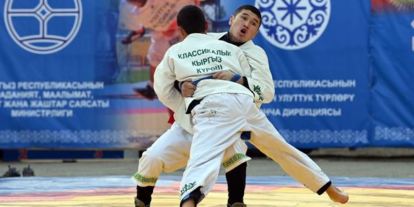 Финансирование спорта в КР выросло в три раза за пять лет — кабмин изображение публикации