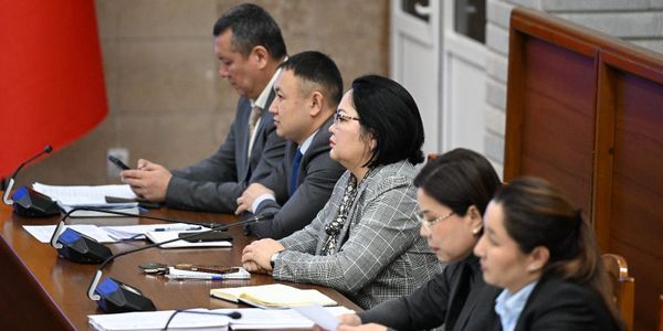 Япония выделит $20.4 млн на мост через реку Нарын — профильный комитет ЖК одобрил проект изображение публикации