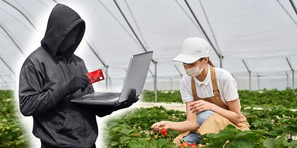 Злоумышленники придумывают и реализуют мошеннические схемы, обманывая доверчивых граждан.