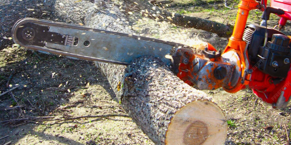 Кабмин передал 10 га садов в Чуйской области под строительство многоэтажек изображение публикации