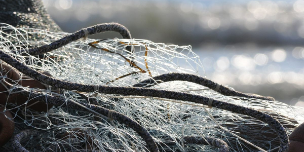 Садыр Жапаров 2026, Иссык-Куль очистка сетей, запрет на рыбалку в Кыргызстане 2026, синтетические сети КР, нерест 2026 Иссык-Куль, экология Кыргызстана