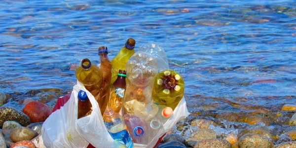 Бизнесу на Иссык-Куле выдали 950 предупреждений из-за использования пластиковых пакетов изображение публикации