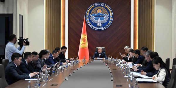 В Кыргызстане упростят трансформацию земель и оцифруют учет скота