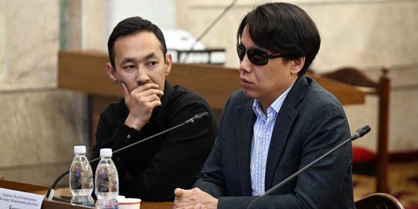 Комитет ЖК поддержал инициативы Бекешева о явке на выборах и госслужбе для лиц с инвалидностью изображение публикации