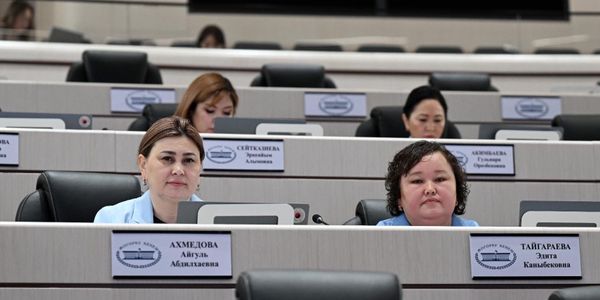 Почти $35 млн на детсады и защиту от ЧС: Жогорку Кенеш одобрил соглашения с АБР и МАР