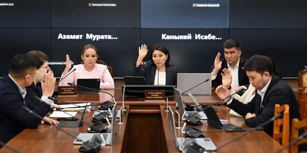 Жогорку Кенеш, Антинаркотический центр ШОС, реадмиссия Бенилюкс, Нурбек Абдиев МВД, международные соглашения КР, борьба с наркотрафиком ШОС, Economist.kg