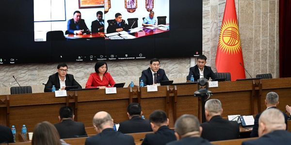 Борьба с ОПГ и контроль халал-индустрии: комитет ЖК одобрил пакет законопроектов