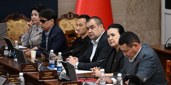 Приватизация по-новому: в Кыргызстане упрощают продажу госимущества