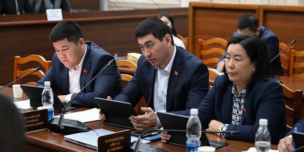 закон о конкуренции КР 2026, Wildberries в Кыргызстане, Temu налоги КР, антимонопольный комплаенс, картельный сговор, Жогорку Кенеш новости, Economist.kg