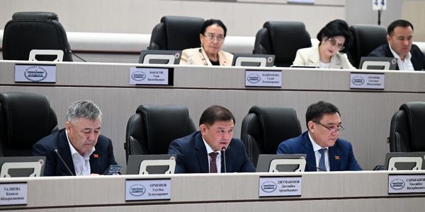 В ЖК подняли вопросы школьных туалетов, выбросов заводов, тонировки и машин мигрантов