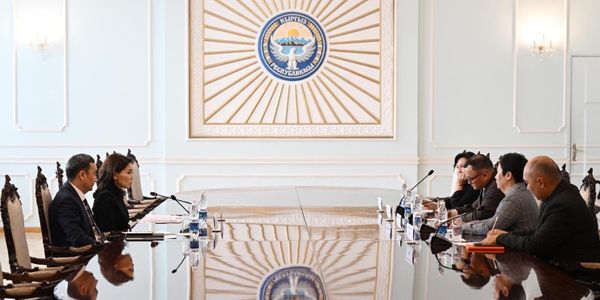 Депутаты ЖК и ЮНФПА обсудили запуск системы контроля за лекарствами изображение публикации