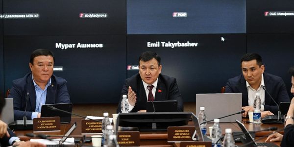 Комитет ЖК одобрил поправки по исламским финансам и снял с повестки закон о ценах изображение публикации