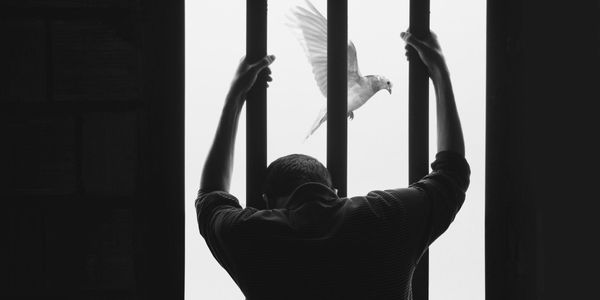 Налоги вместо нар: как пробация экономит Кыргызстану 1.1 млрд сомов в год