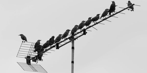 Консолидация телекома: за три месяца рынок связи Кыргызстана покинули 18 компаний