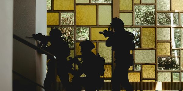 Вето на стройки, кадры без конкурса и право на дознание: СГО расширят полномочия изображение публикации