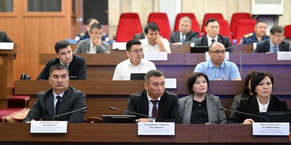 Профильный комитет ЖК одобрил законопроект «О климатической деятельности» изображение публикации